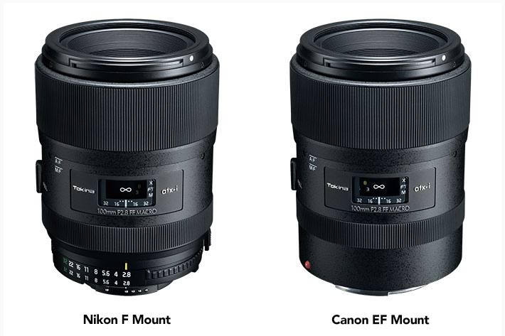 Tokina atx-i 100mm f/2.8 Macro FF: more than a macro lens for full