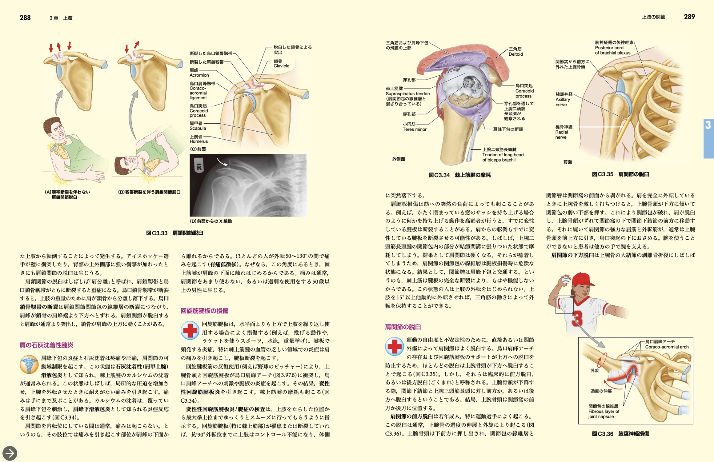 書籍】臨床と直結し応用できる解剖書「臨床のための解剖学 第3版」発刊