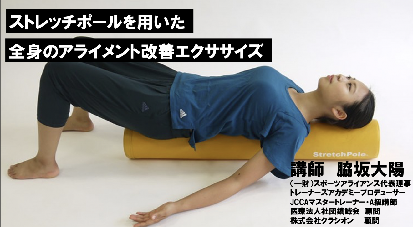 ベーシックセブン ストレッチポールを使った基本エクササイズ｜PT-OT