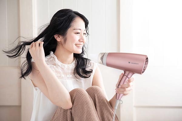 楽天市場】ゼンケン 電磁波低減ヘアケアドライヤー ZD-750 1台 : 産経