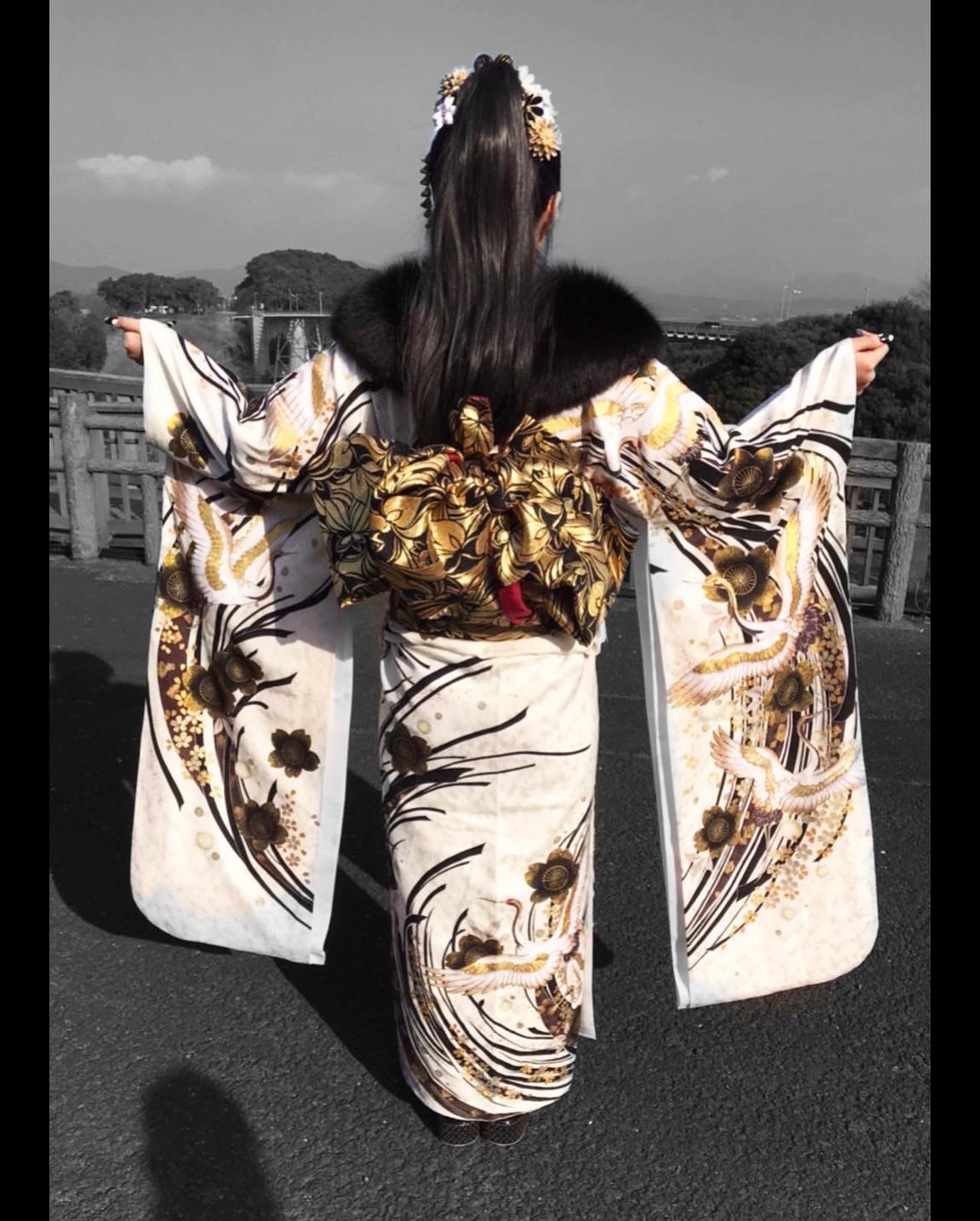 成人式/参列/振袖】金彩が目を惹く高級感☆金彩友禅/鶴 / 成人式や結婚