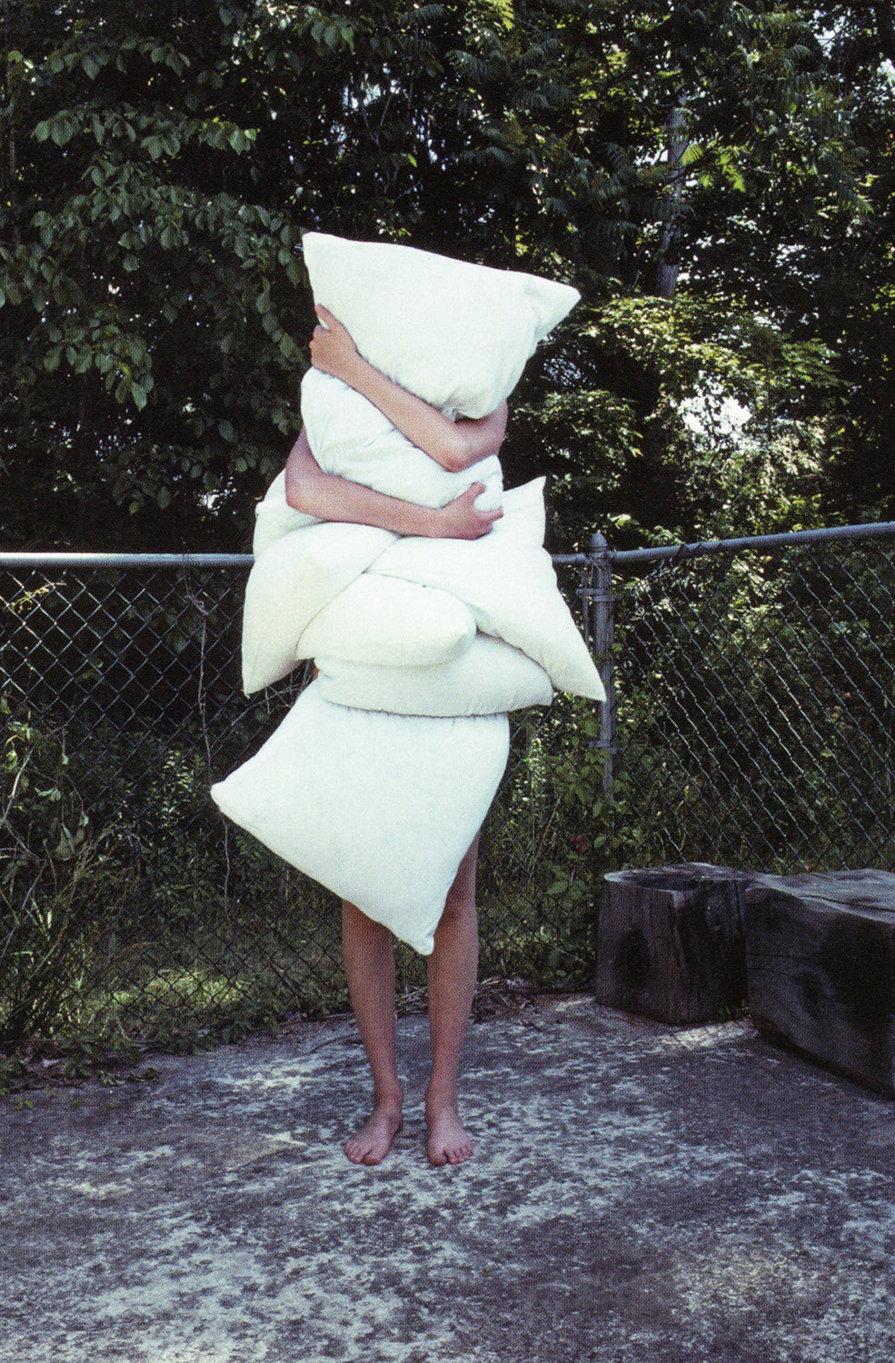 Mark Borthwick — Not In Fashion – Wolf Books