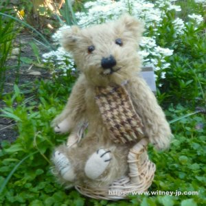 チーキーボー｜メリーソート ウィットニー限定｜英国テディベア・オブ