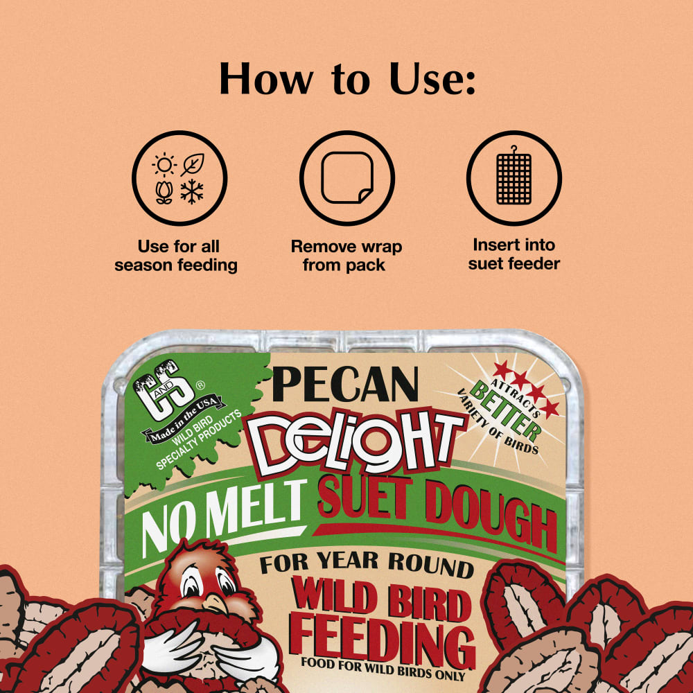 Pecan Delight No Melt Suet Dough | C&S Wild Bird Suet