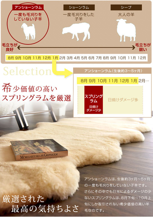 ムートンラグ 約180×180 日本製 厚手 抗菌 防ダニ 8匹物 洗濯できる