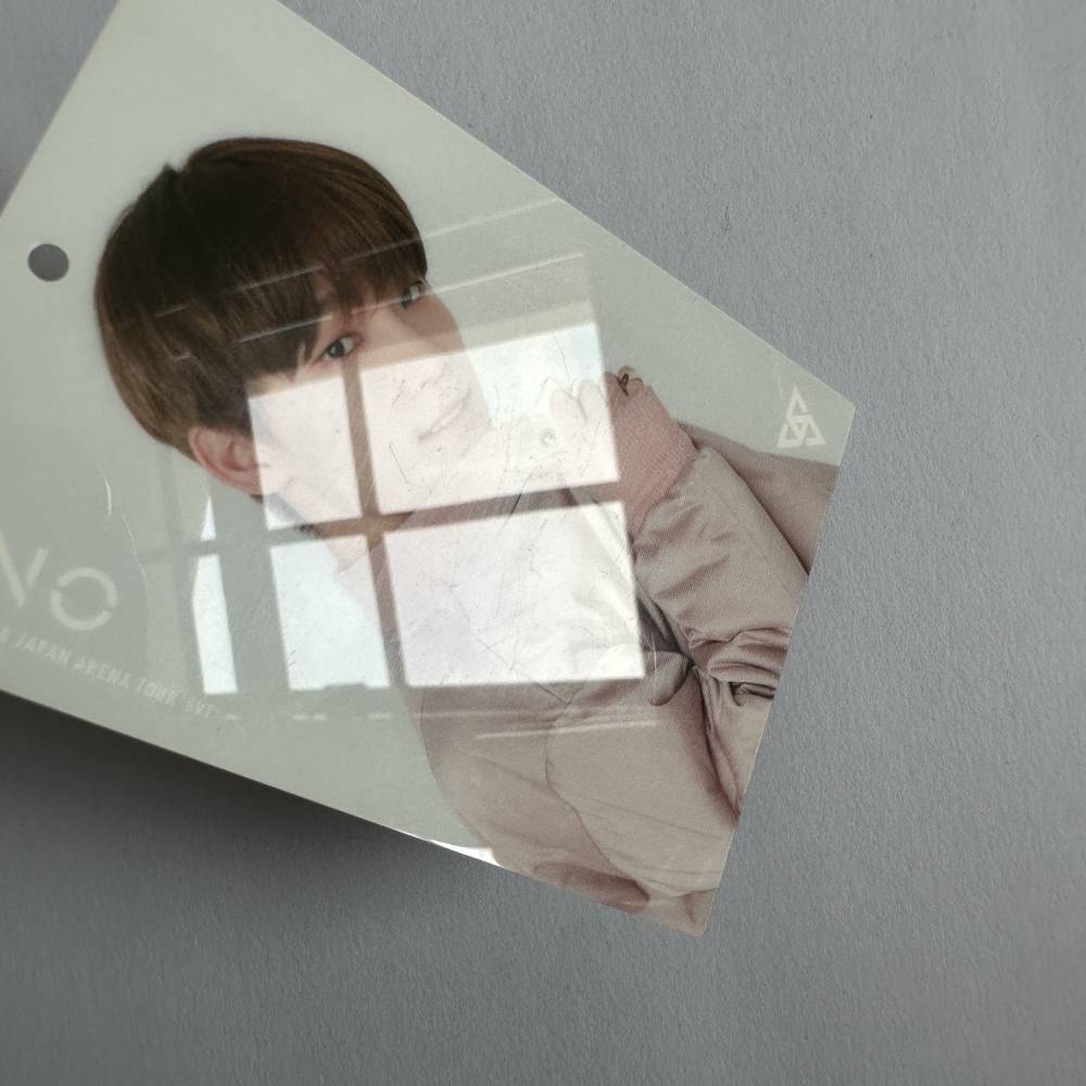 SEVENTEEN 2018 JAPAN ARENA TOUR 'SVT' TRADING CARD SET - DINO