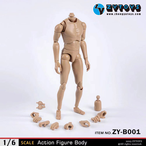 ZYTOYS】ZY-B001 ナローショルダー 1/6スケール 男性フィギュアボディ