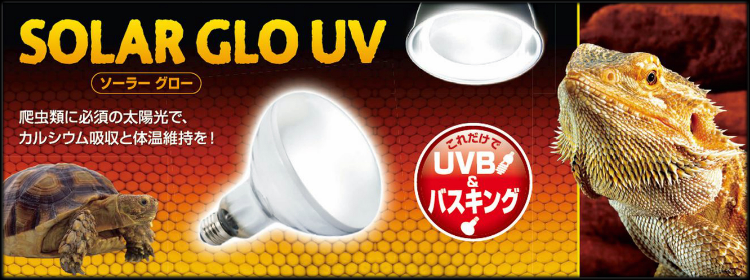 ソーラーグローUV125W エキゾテラ GEX 爬虫類用水銀灯 販売 通販