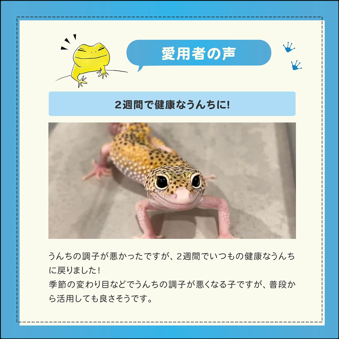 レプケア30g 爬虫類用栄養補助食 エコロギー ecologgie 販売 通販