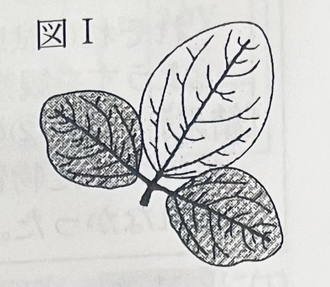 大阪府】令和5年度理科－過去問解説- 家庭教師のやる気アシスト