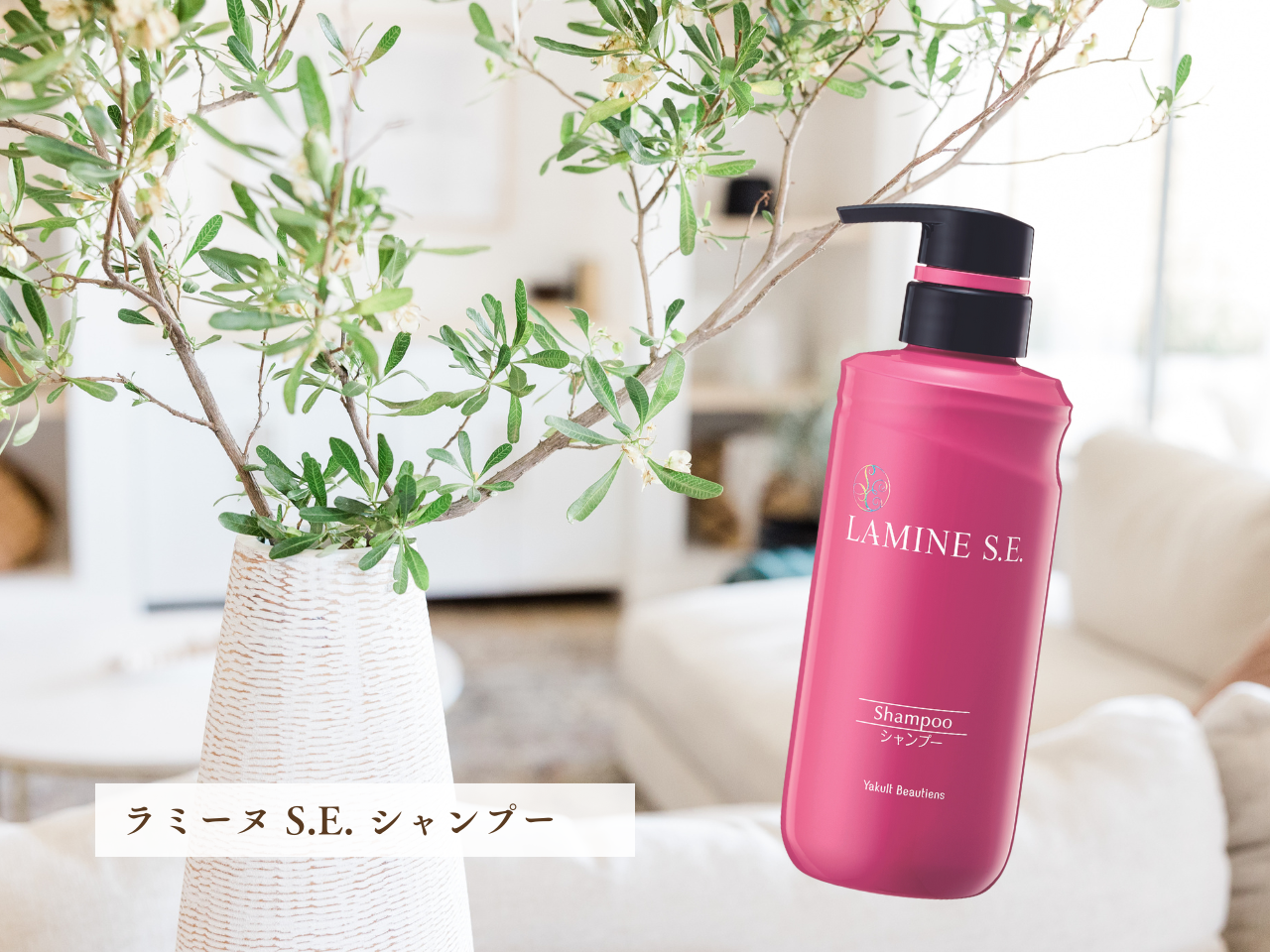 ヤクルトから『髪の健康』をご提案！ | ライフスタイルとヤクルトの