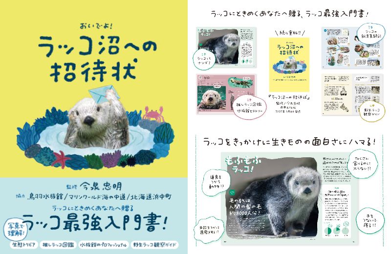 鳥羽水族館 ラッコのメイちゃん＆キラちゃんがグッズに🦦ラッコ