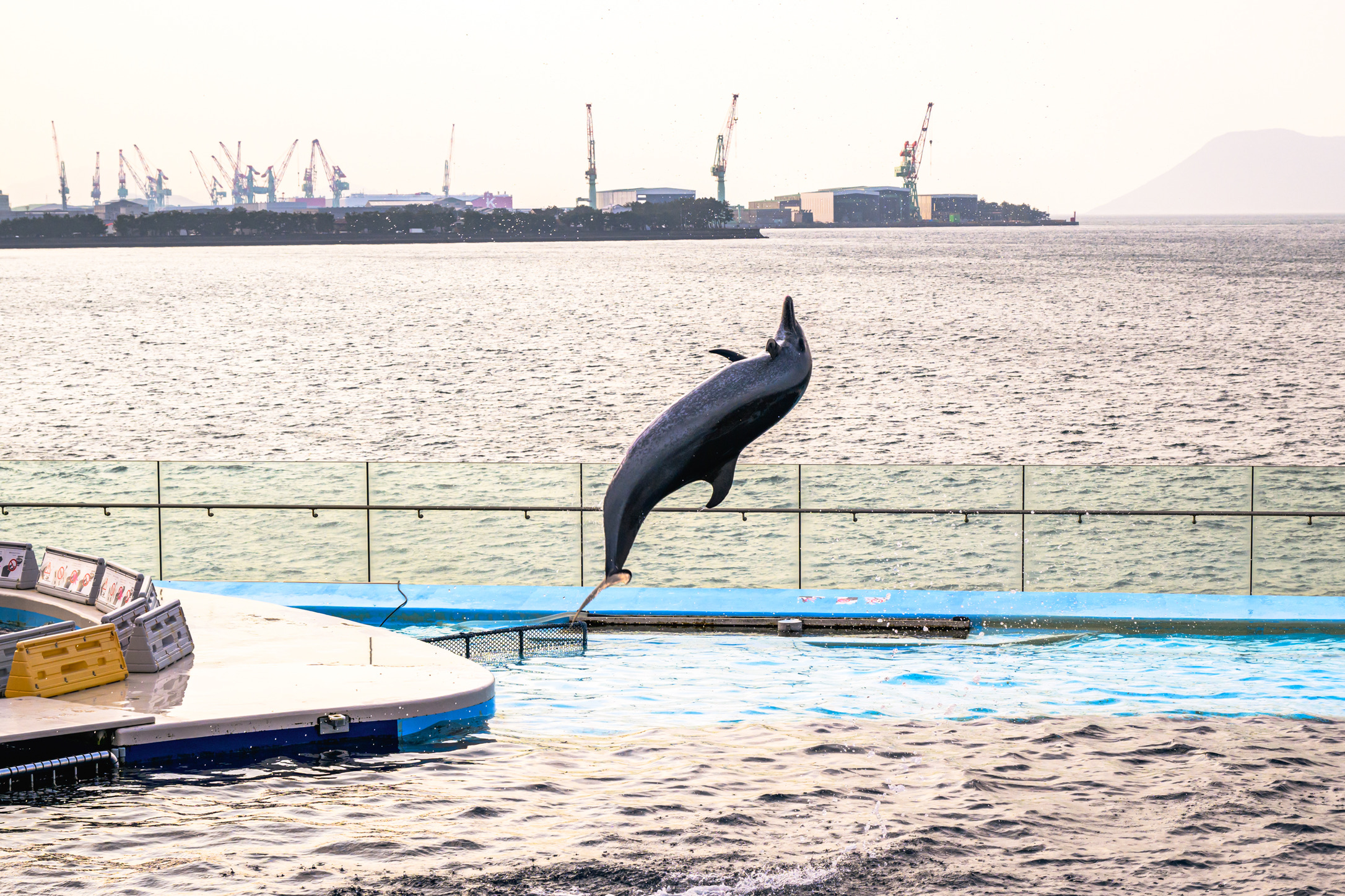 YUTA録K–1 Mk2、Nikon Df、LeicaM10-R、Leica SL2-S、Leica Q2のカメラ