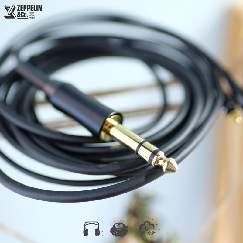 Audio-Technica ATH-AWAS – Zeppelin & Co