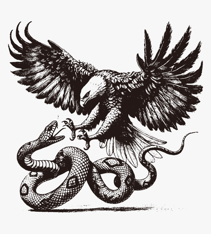鷲と蛇の死闘 / イラスト素材 | ai illustrator file | US$5.00 each
