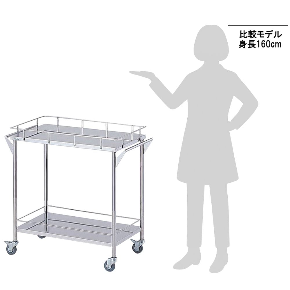 8-7465-02 ストレージステンレスカート 2段 (幅750mm) CHW-2 【AXEL
