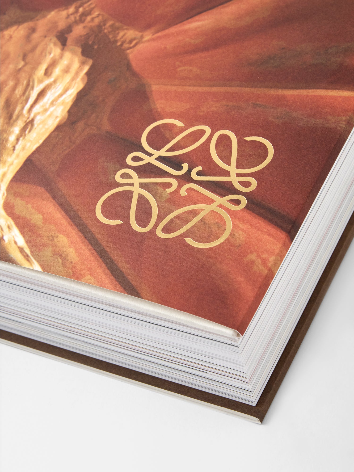 CRAFTED WORLD: JONATHAN ANDERSON'S LOEWE - 本 屋 青 旗 Ao-Hata