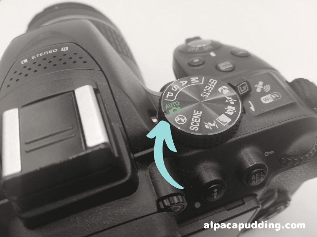 初心者カメラキット】ニコンのD5300をレンタルしてみた！【スマホ転送