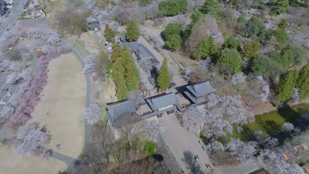 de21f9a5e8796b2df4170dad1cb9ab