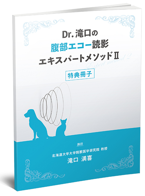 Dr.滝口の腹部エコー読影 エキスパートメソッドⅡ | 株式会社 医療情報
