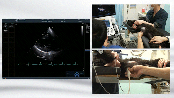 株式会社 医療情報研究所