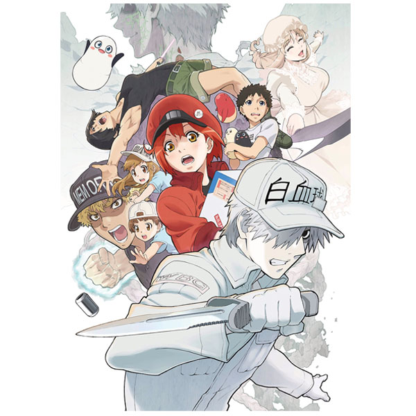 はたらく細胞!!／DVD／1（完全生産限定版） | TBS・MBSアニメ 公式