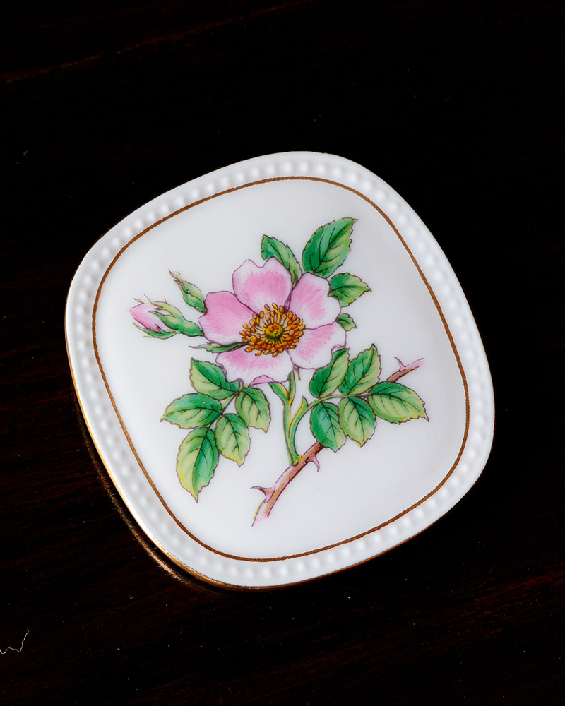 フローラダニカ ブローチ/ロサカニナ | クレマチス