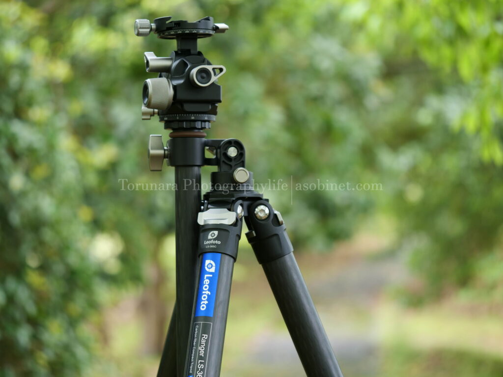 OMDS「M.ZUIKO ED 60mm F2.8 Macro」レンズレビュー ボケ編 - とるなら