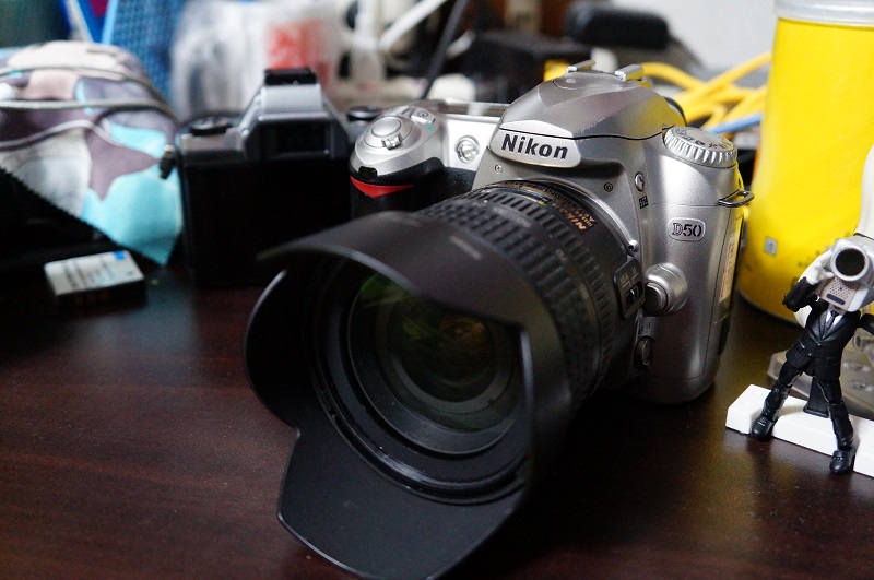 Nikon D50 ファーストインプレッション！ | あそぶログ！