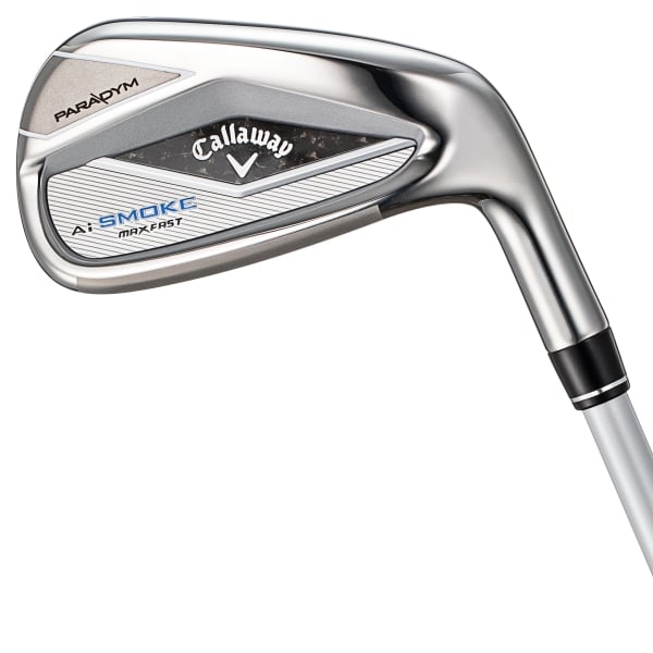 パラダイム Ai スモーク MAX ファスト／PARADYM Ai SMOKE MAX FAST