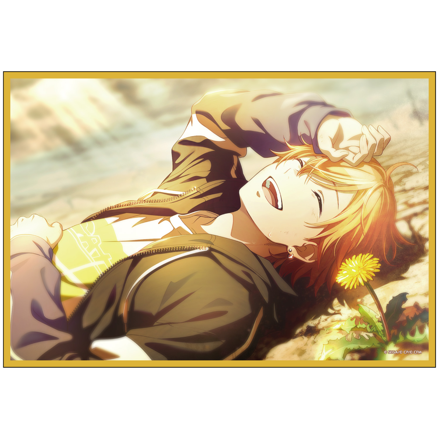 はっぴーこれくしょんくじ プロセカ バースデーギフトシリーズ2025