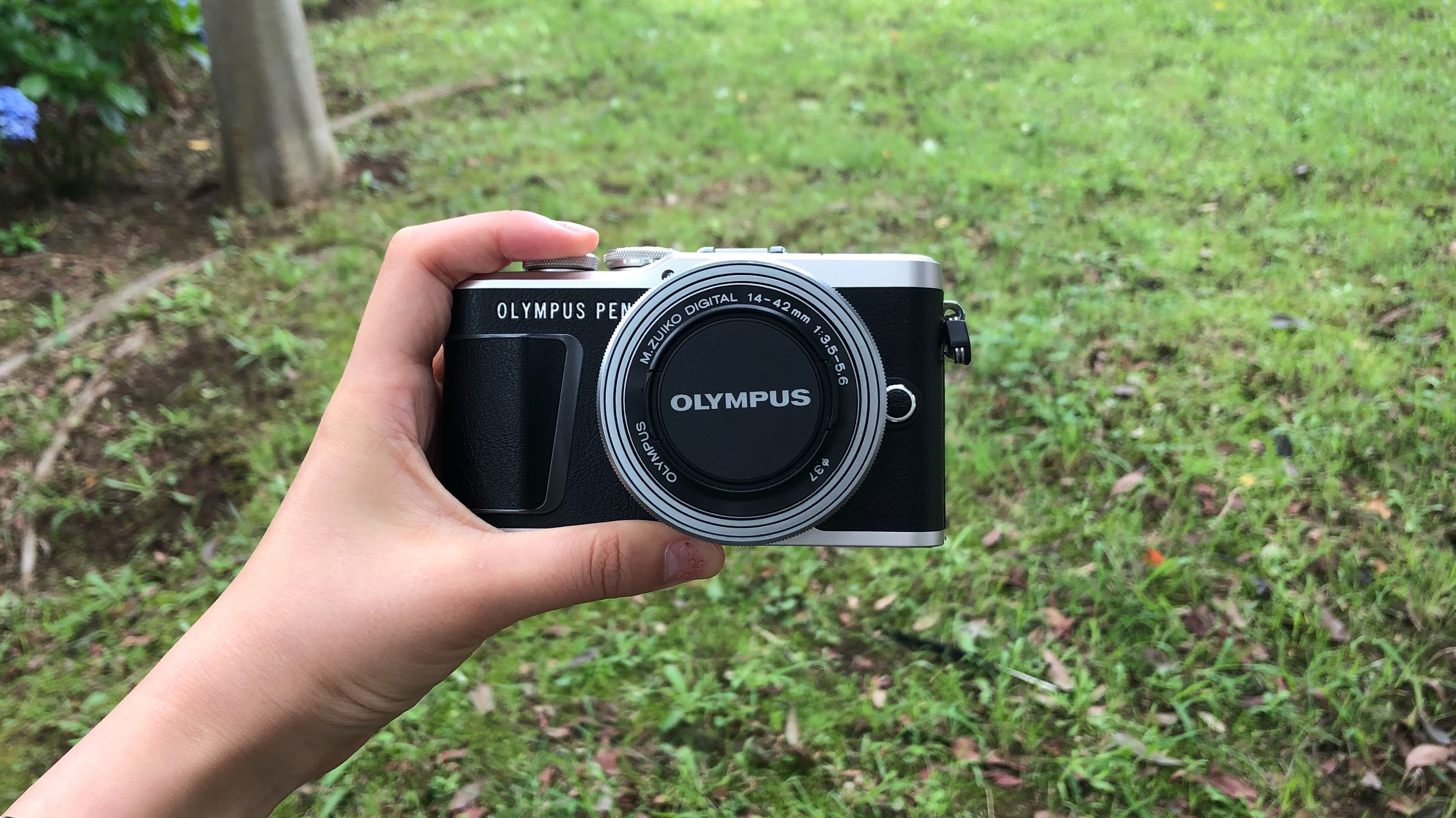 憧れのカメラ、はじめてならこれ！機械が苦手でも素敵な写真が撮れるん