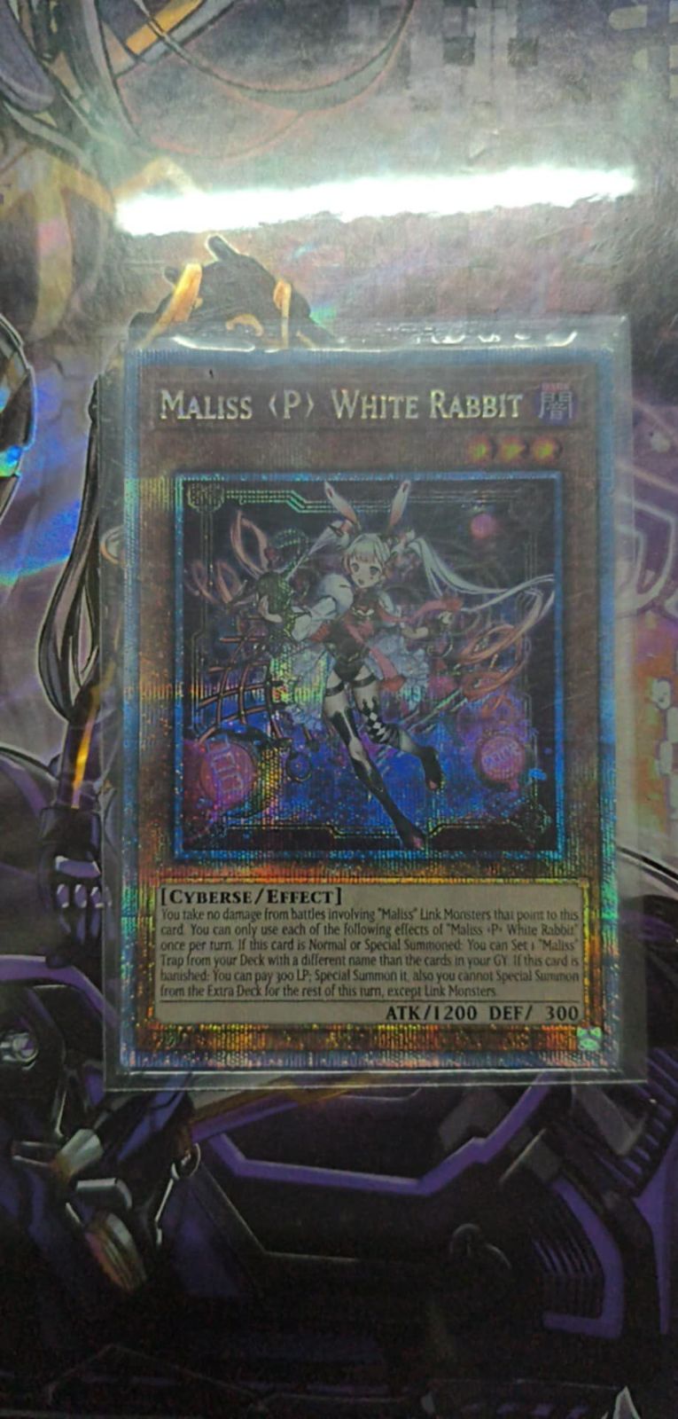 遊戯王 M∀LICE＜P＞White Rabbit / マリス＜ポーン＞ホワイト