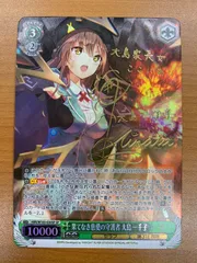 2026年最新】ヴァイス 果てなき慈愛の守護者 大島 一千子の人気