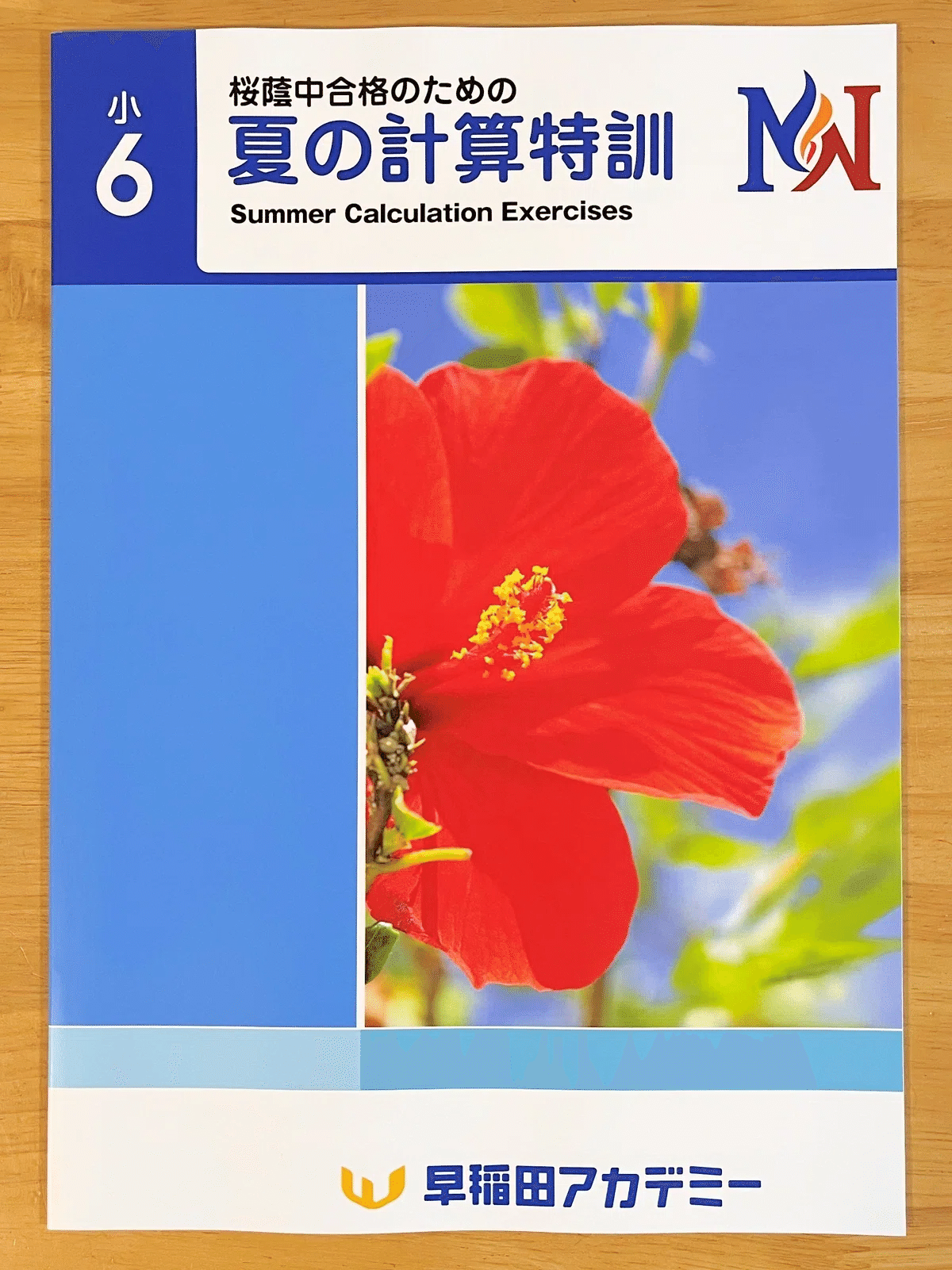 中学受験】受験生の夏は一瞬。だけどこの夏の学びは、きっと一生の力に