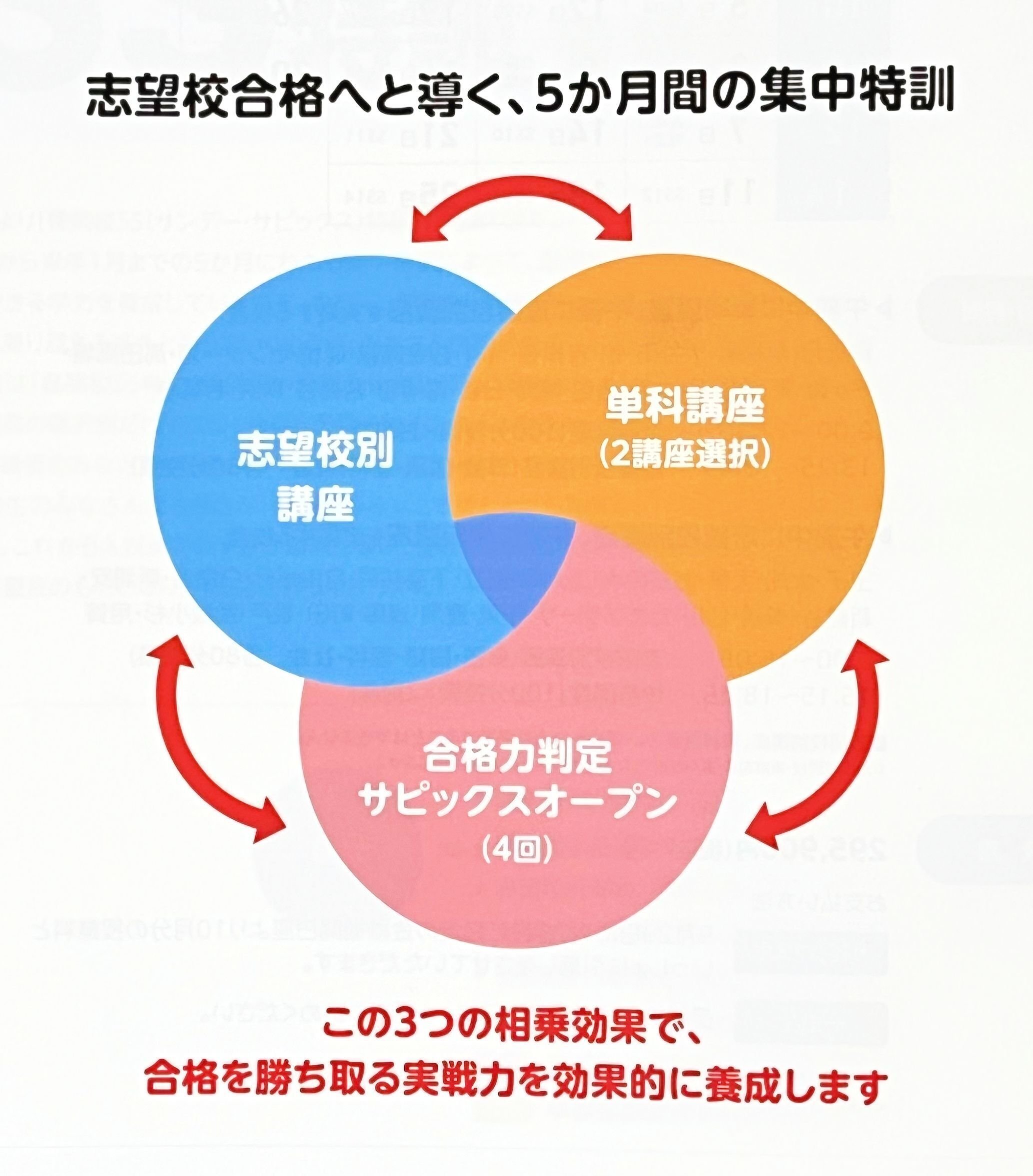 中学受験】小6の娘がSS特訓を受けてきた！【サピックスα1・秋の学習