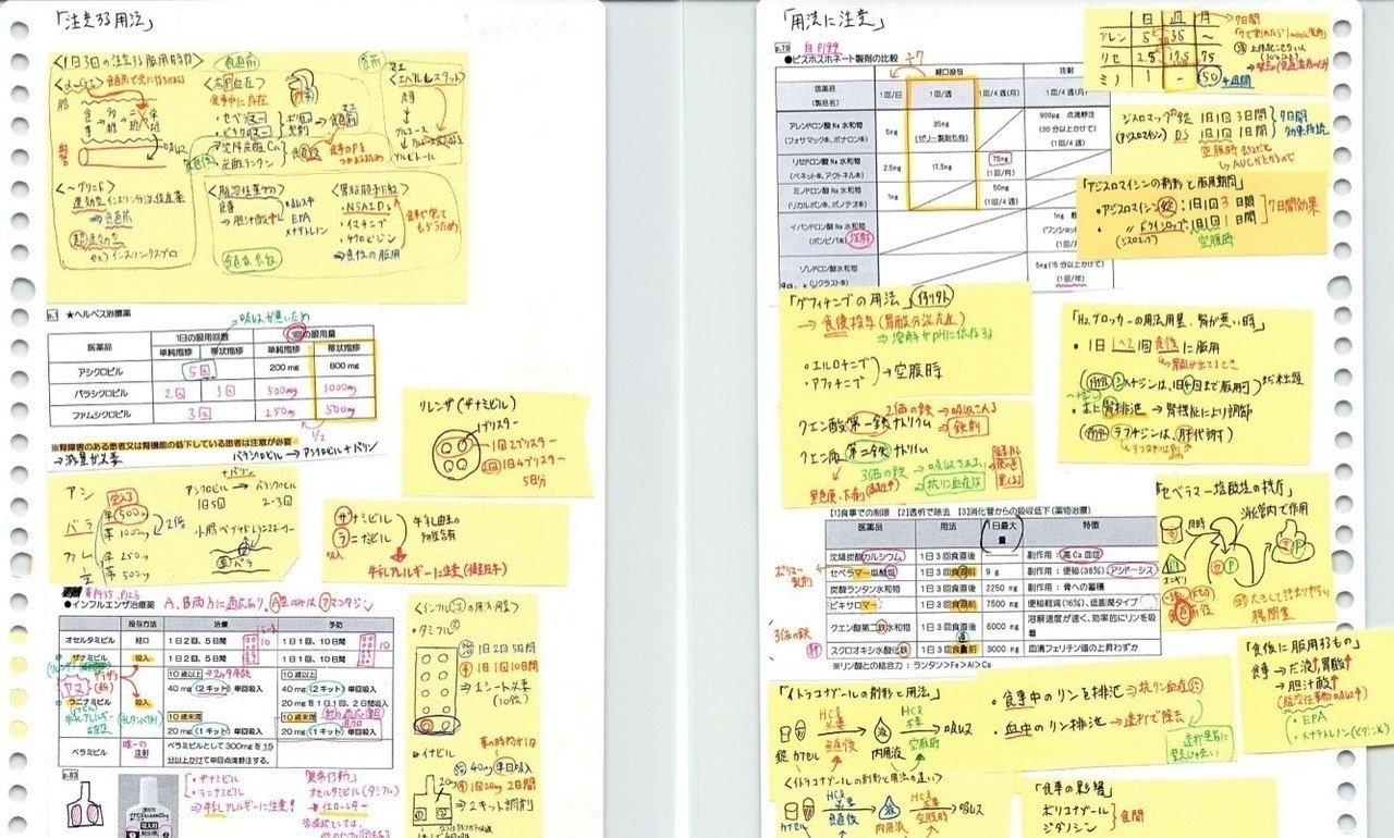 国試当日はこれだけ持参。付箋まとめノート260枚（付箋1500枚）｜製薬