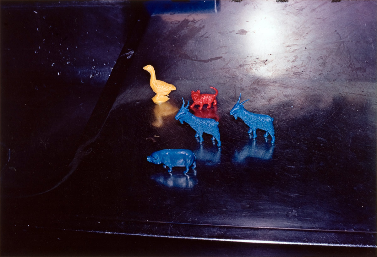 William Eggleston: Democratic Camera, Photographs & Video, 1961-2008'