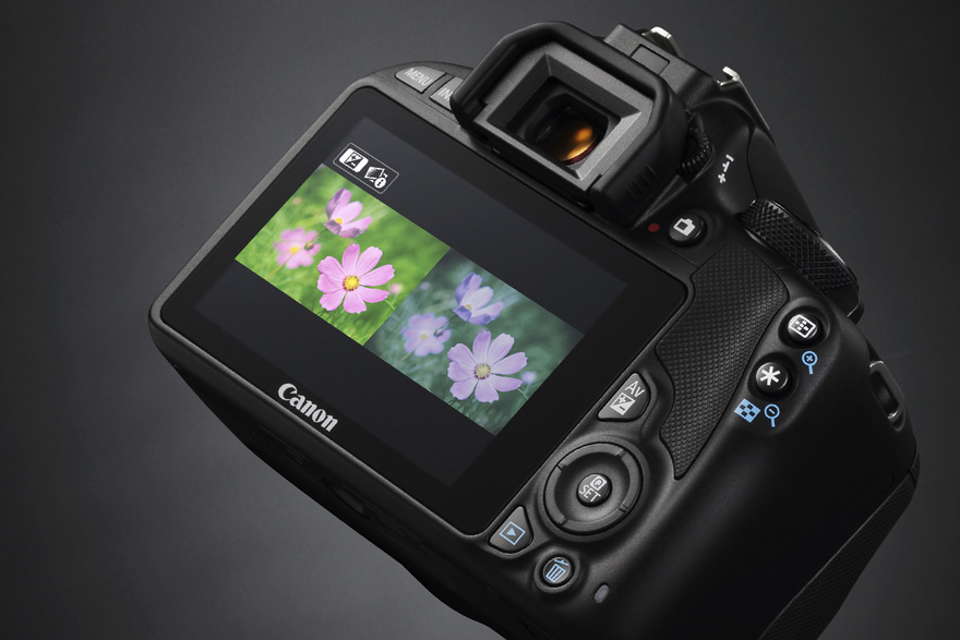 point.jpg?size=large