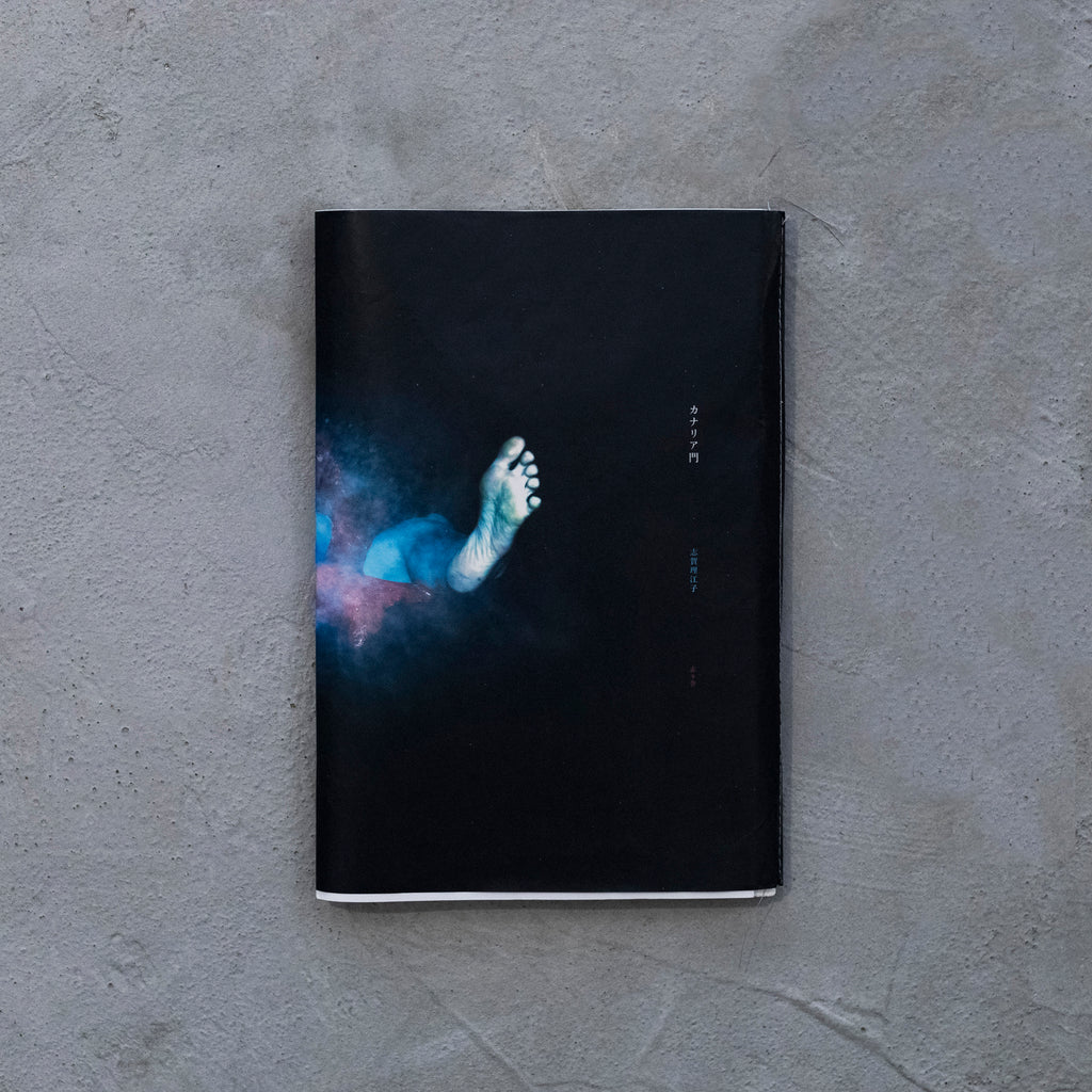 D4_4078_1_1024x.jpg?v=1671624964