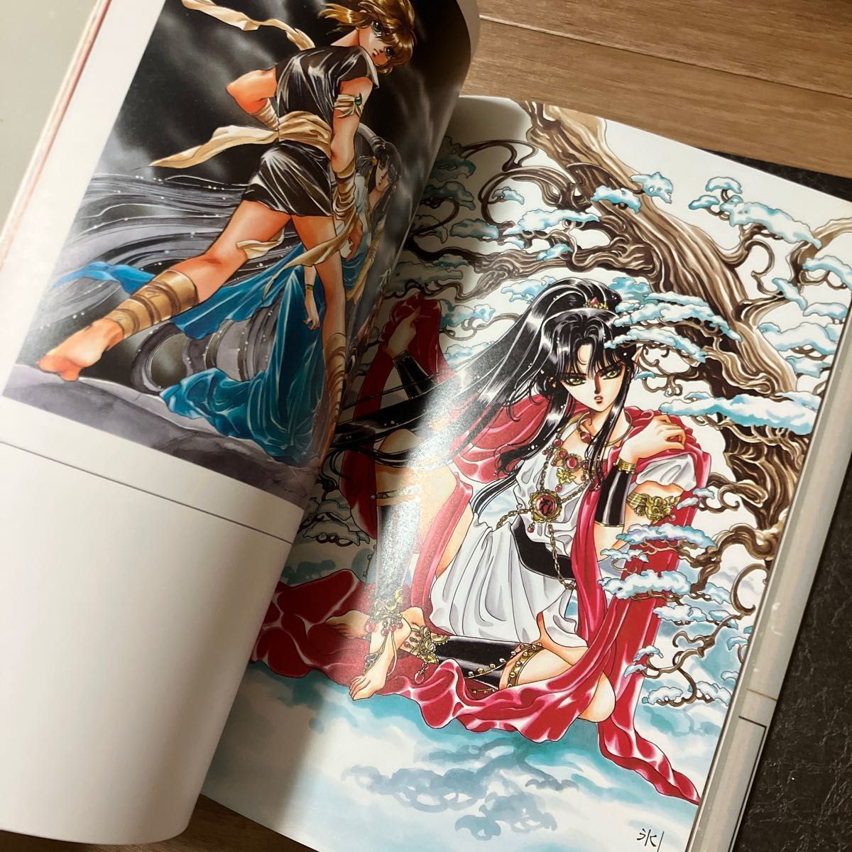 CLAMP 非天夢魔 聖伝 イラスト集 画集｜Yahoo!フリマ（旧PayPayフリマ）