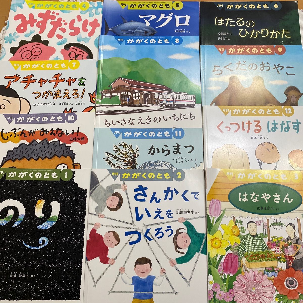 福音館書店 かがくのとも 絵本 12冊セット 絵本セット｜Yahoo!フリマ