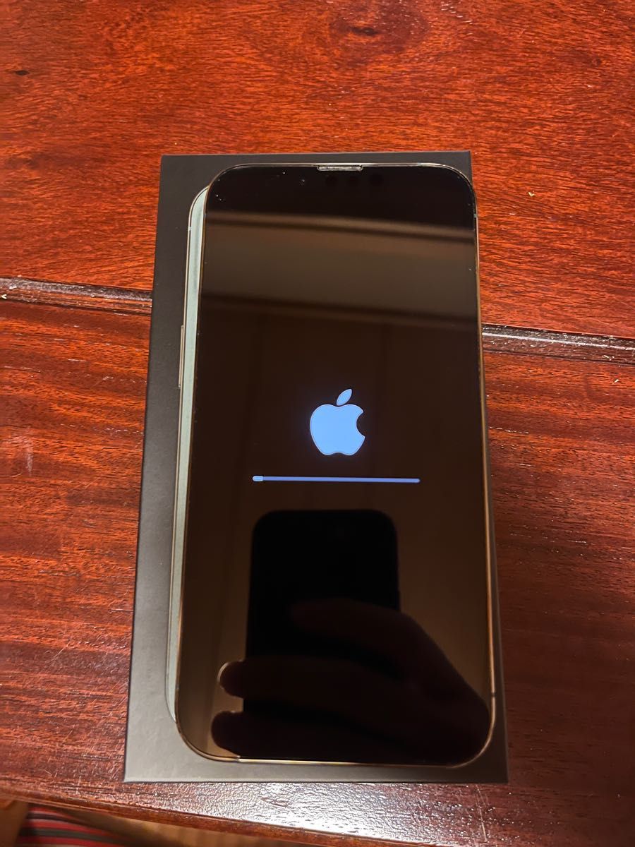 iPhone 13 Pro アルパイングリーン 256GB 89% simフリー｜Yahoo!フリマ