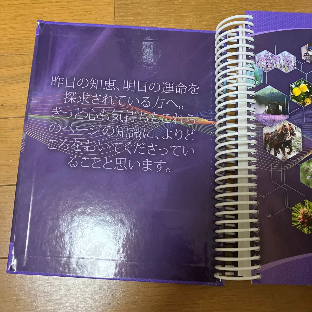 ヤングリビング エッセンシャルオイル ディスクレファレンス 本｜Yahoo