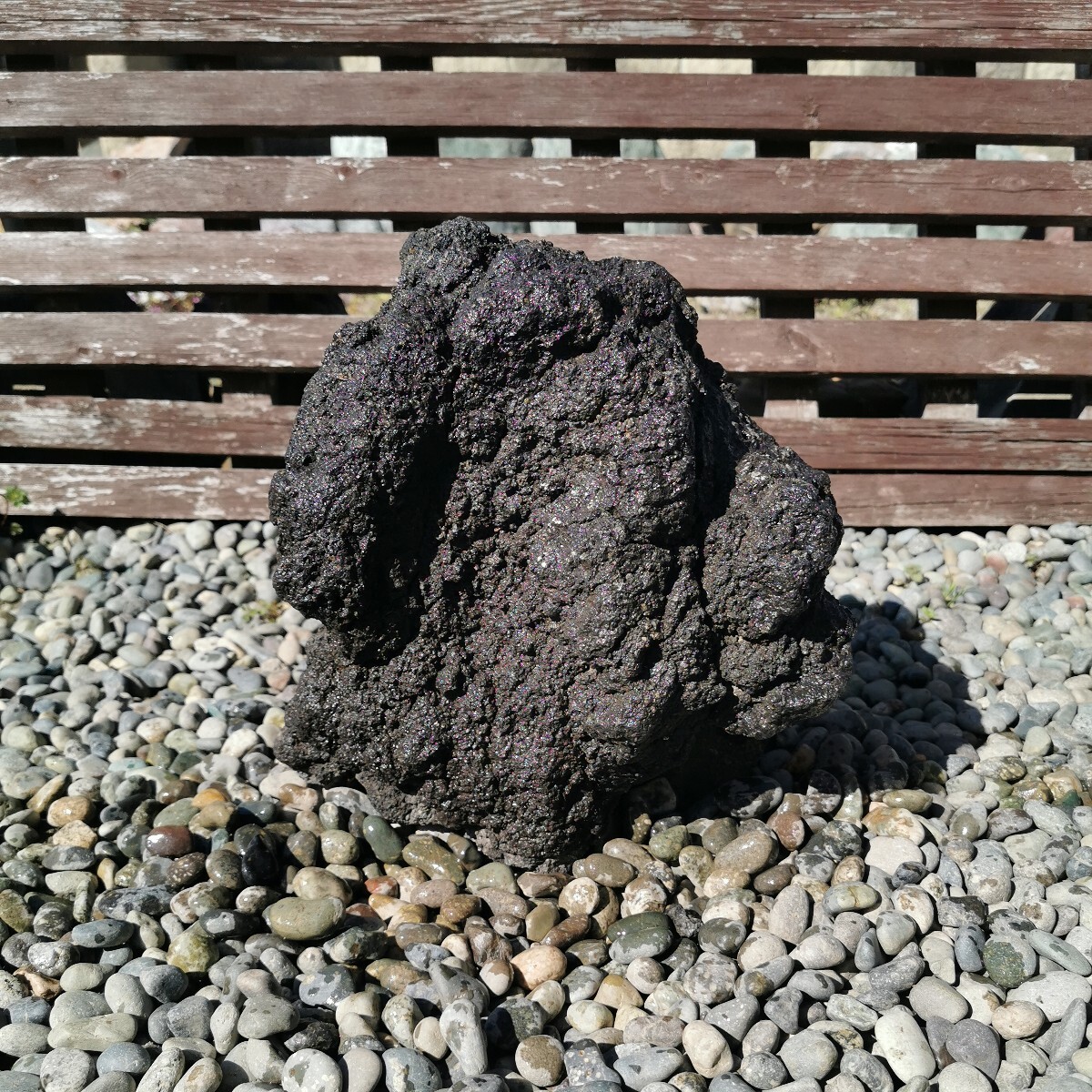 富士溶岩石81キロ 庭石鑑賞石石盆石水石灯籠庭坪庭盆栽