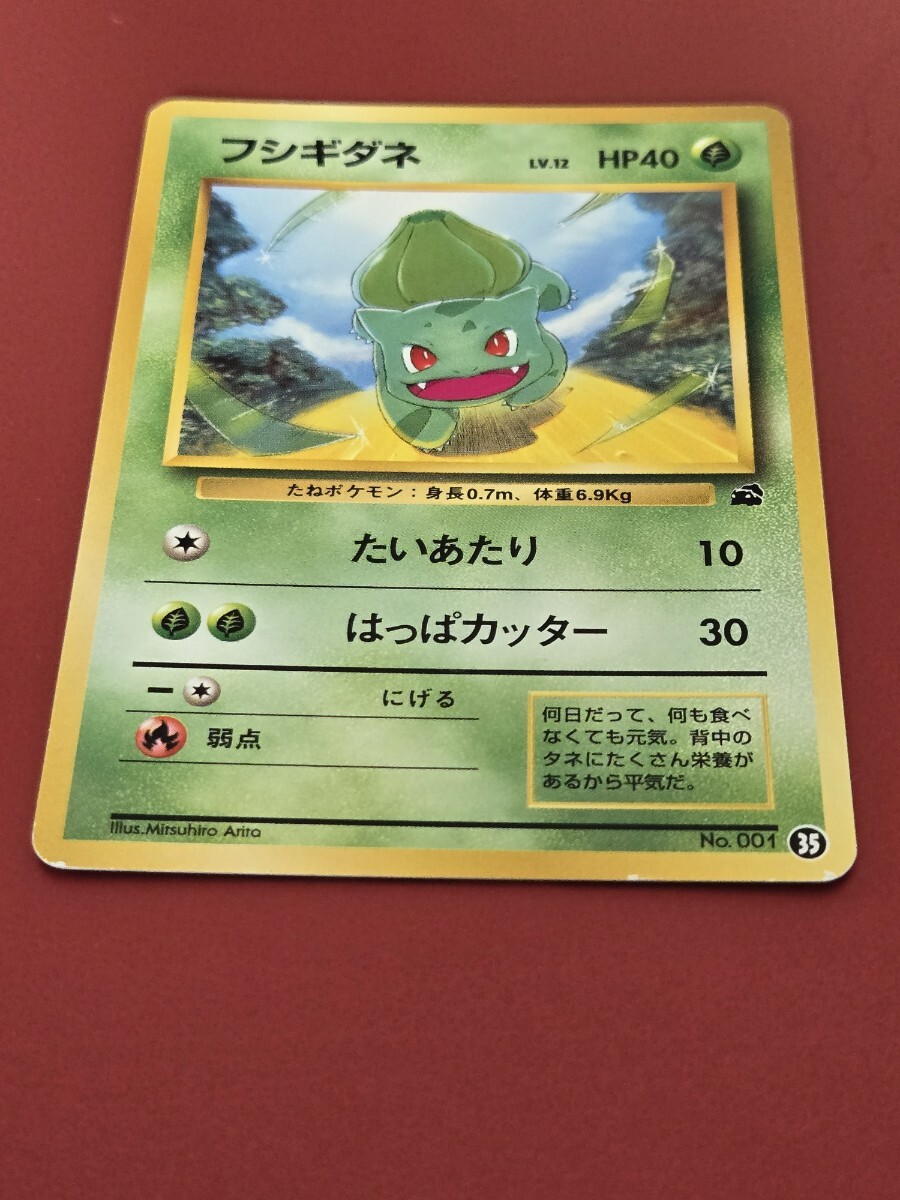 旧裏面】ポケモンカード フシギダネ イントロパック 35 送料無料
