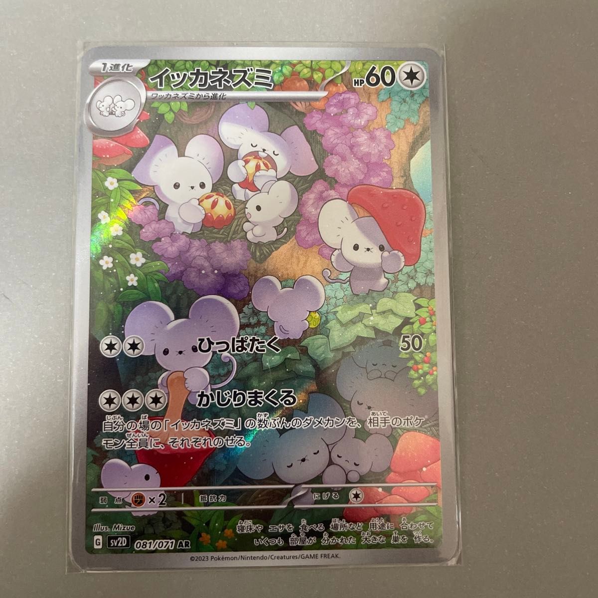 美品】PSA10中国限定 SAR イッカネズミ家鼠ex ポケモンカード 宝可梦