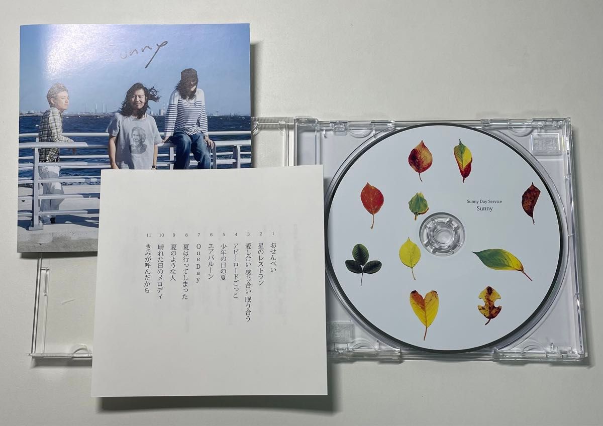 サニーデイ・サービス『Sunny』 曽我部恵一 若者たち東京愛と笑いの夜