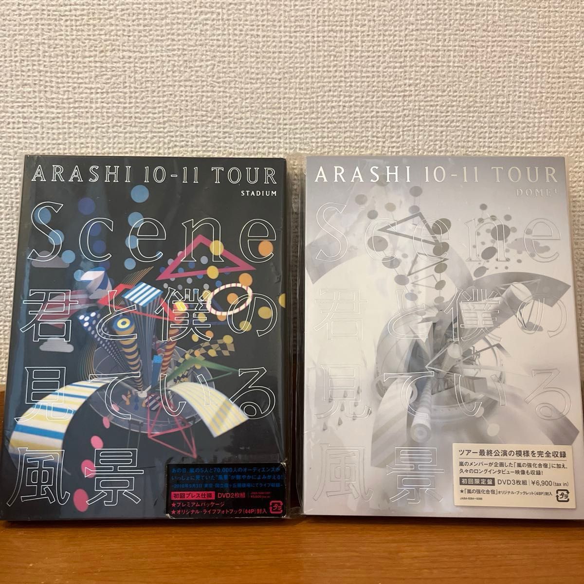 嵐 ARASHI 10-11 TOUR Scene〜君と僕の見ている風景〜 stadium [初回盤