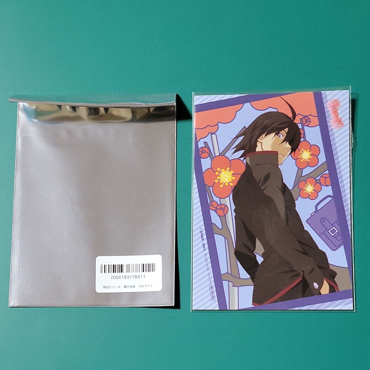 物語シリーズ 特典 花札柄 プロマイド ポストカード 千石撫子 忍野忍